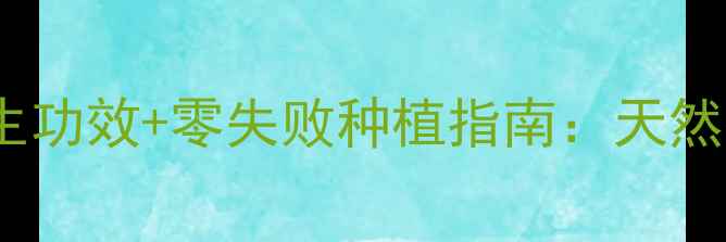 室内养殖玫瑰花5大养生功效零失败种植指南天然疗法打造健康生活空间