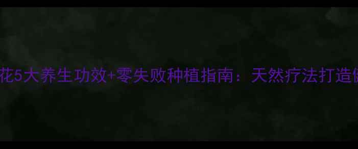 图片 室内养殖玫瑰花5大养生功效+零失败种植指南：天然疗法打造健康生活空间1