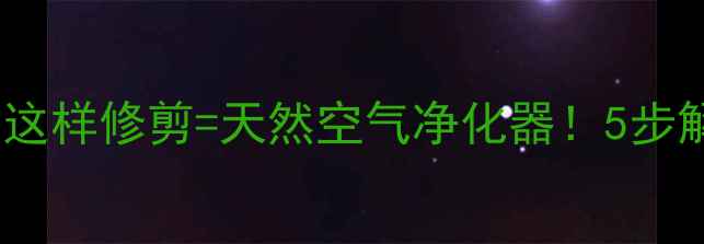 家居养生指南南洋杉这样修剪天然空气净化器5步解锁健康呼吸空间