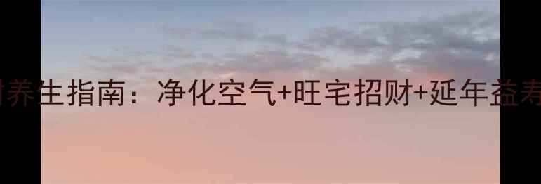 家庭养殖铁树养生指南净化空气旺宅招财延年益寿的三大秘籍