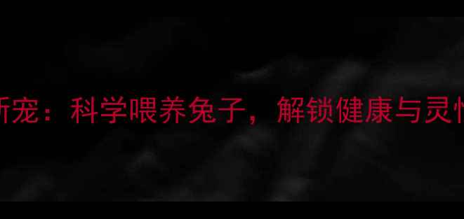家庭养生新宠科学喂养兔子解锁健康与灵性疗愈指南