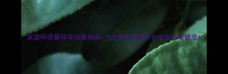 图片 家庭呼吸囊科学消毒指南：5大养生妙招守护全家呼吸健康1