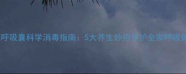 家庭呼吸囊科学消毒指南5大养生妙招守护全家呼吸健康