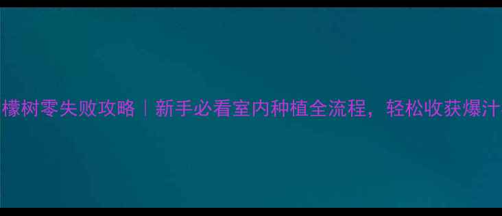 家庭柠檬树零失败攻略新手必看室内种植全流程轻松收获爆汁柠檬