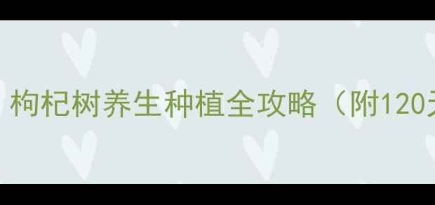 图片 家庭种植指南：枸杞树养生种植全攻略（附120天养护周期表）