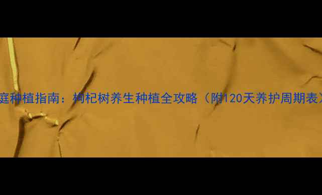 家庭种植指南枸杞树养生种植全攻略附120天养护周期表