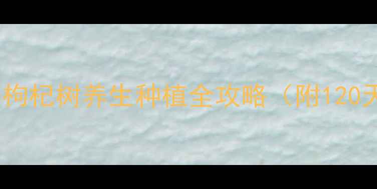 图片 家庭种植指南：枸杞树养生种植全攻略（附120天养护周期表）2