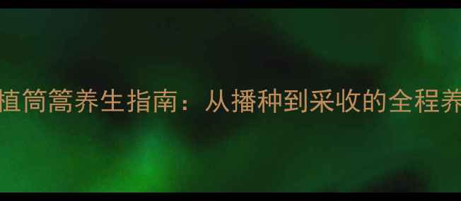 图片 家庭种植筒篙养生指南：从播种到采收的全程养护技巧