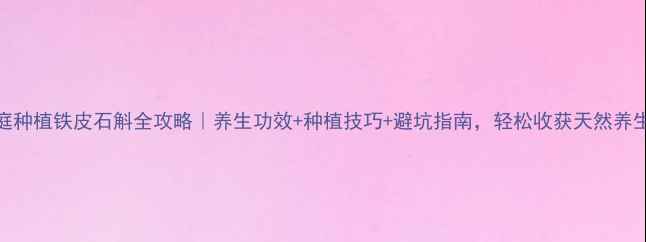 图片 家庭种植铁皮石斛全攻略｜养生功效+种植技巧+避坑指南，轻松收获天然养生宝