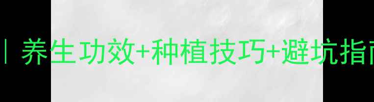 家庭种植铁皮石斛全攻略养生功效种植技巧避坑指南轻松收获天然养生宝