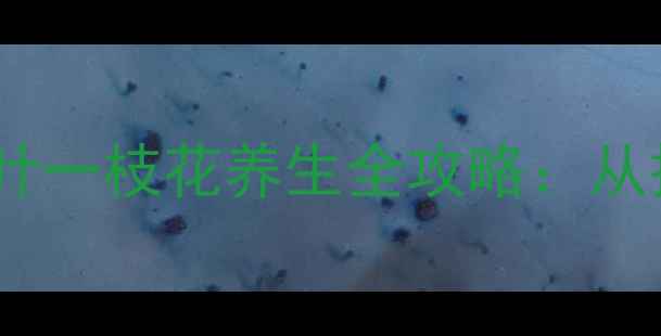 图片 家庭阳台也能种！七叶一枝花养生全攻略：从播种到采收的7步指南