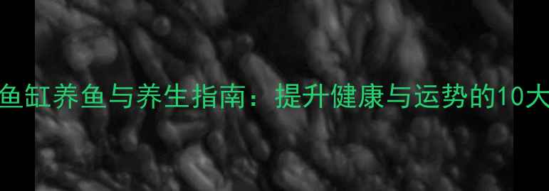 图片 家庭鱼缸养鱼与养生指南：提升健康与运势的10大秘诀