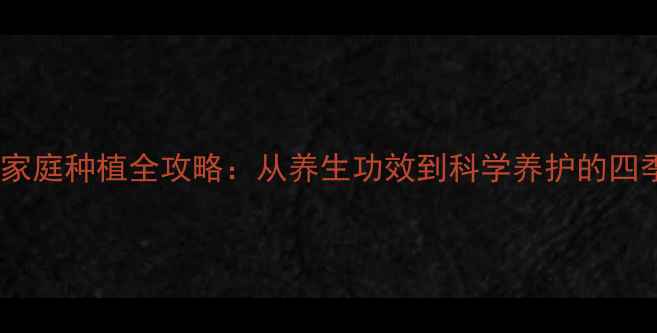 富贵籽家庭种植全攻略从养生功效到科学养护的四季指南