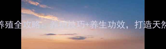 小肉肉花家庭养殖全攻略养护技巧养生功效打造天然健康生活空间