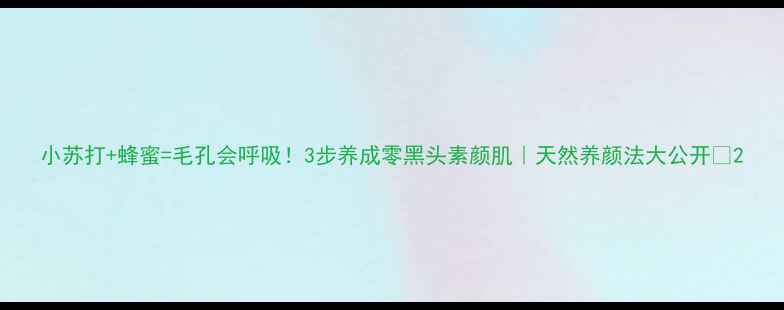 小苏打蜂蜜毛孔会呼吸3步养成零黑头素颜肌天然养颜法大公开