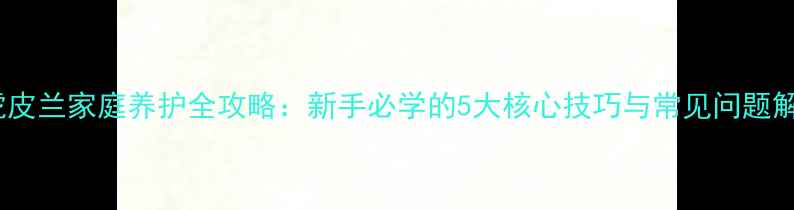 小虎皮兰家庭养护全攻略新手必学的5大核心技巧与常见问题解答