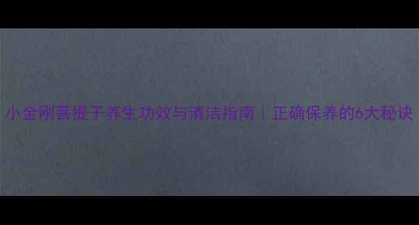 小金刚菩提子养生功效与清洁指南正确保养的6大秘诀