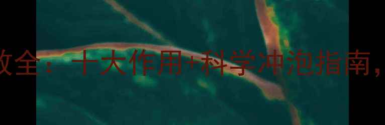 小金柑茶养生功效全十大作用科学冲泡指南喝出健康好气色