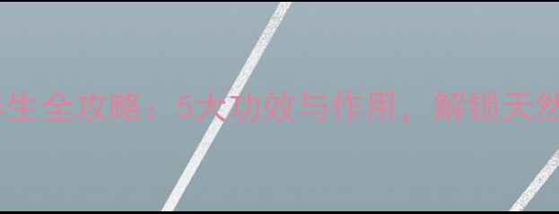 小麦芽粉养生全攻略5大功效与作用解锁天然营养密码