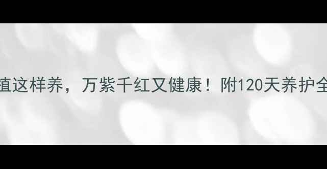 图片 居家养生必备办公室绿植这样养，万紫千红又健康！附120天养护全攻略（附赠养护日历）
