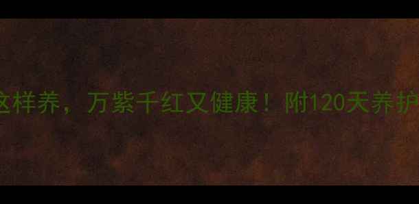图片 居家养生必备办公室绿植这样养，万紫千红又健康！附120天养护全攻略（附赠养护日历）1