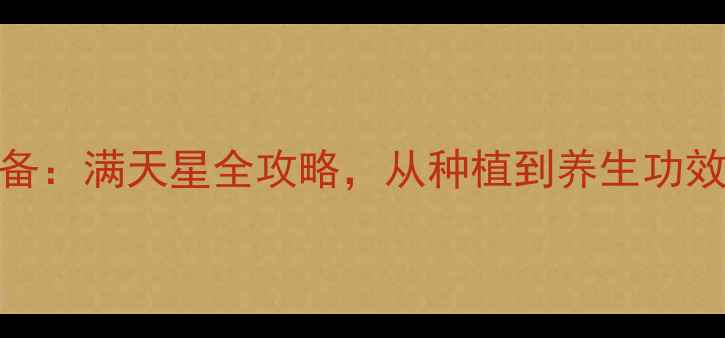 居家养生必备满天星全攻略从种植到养生功效的完整指南