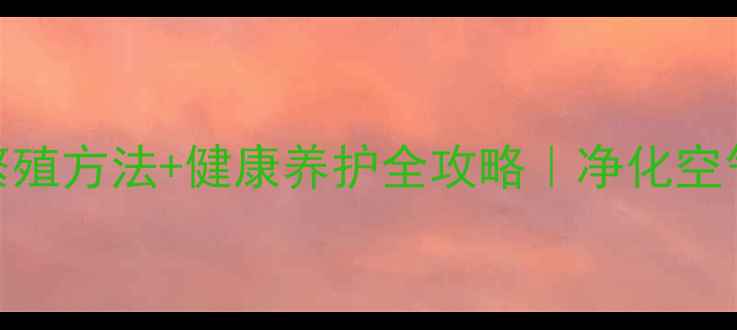 居家养生绿意指南观音竹繁殖方法健康养护全攻略净化空气招财纳福的绿植秘籍