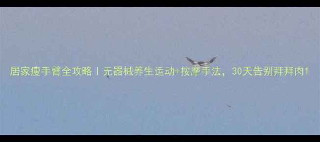 居家瘦手臂全攻略无器械养生运动按摩手法30天告别拜拜肉