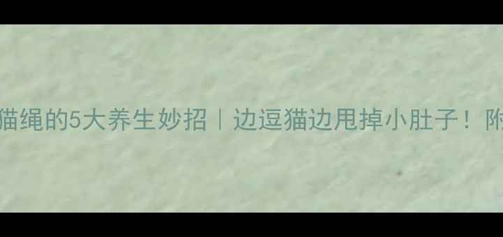 居家自制猫绳的5大养生妙招边逗猫边甩掉小肚子附懒人教程