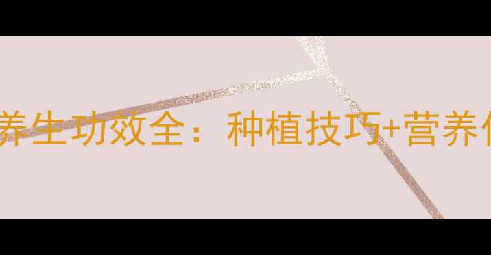 山竹的种植与养生功效全种植技巧营养价值健康搭配