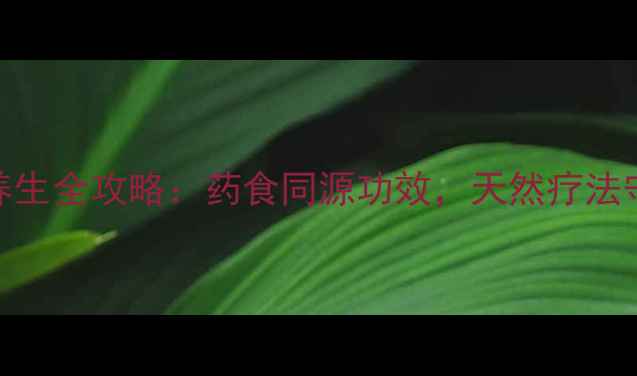 山葡萄养生全攻略药食同源功效天然疗法守护健康