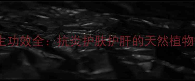山金车花提取物养生功效全抗炎护肤护肝的天然植物黄金科学应用指南
