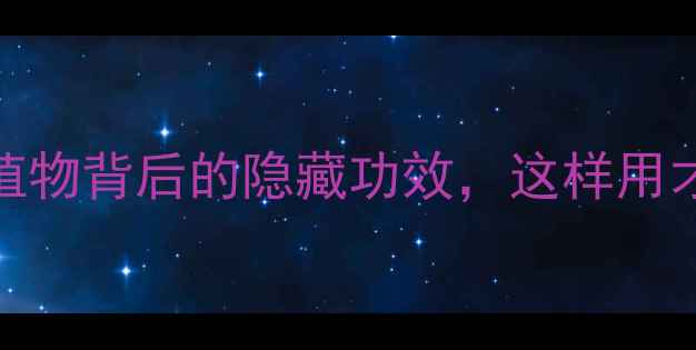 图片 山青木养生全攻略｜天然植物背后的隐藏功效，这样用才科学！养生干货植物功效