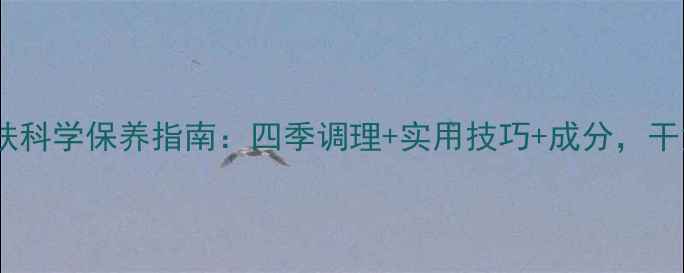 干性皮肤科学保养指南四季调理实用技巧成分干货全