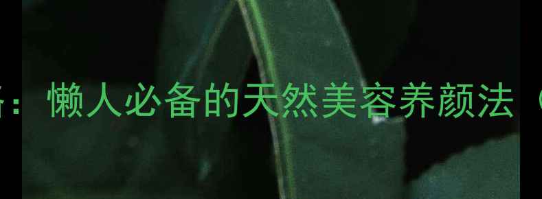 干柠檬片养生全攻略懒人必备的天然美容养颜法附每日饮用指南