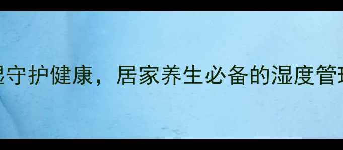 干燥剂使用指南科学控湿守护健康居家养生必备的湿度管理技巧附安全使用步骤
