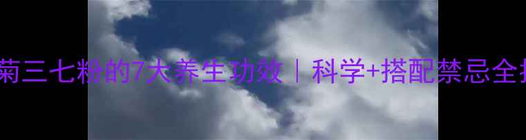 平卧菊三七粉的7大养生功效科学搭配禁忌全指南