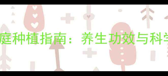 图片 幸运草种子家庭种植指南：养生功效与科学栽培全攻略1
