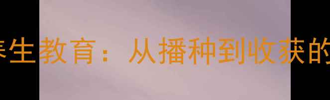 图片 幼儿园种黄豆养生教育：从播种到收获的自然食疗课堂1