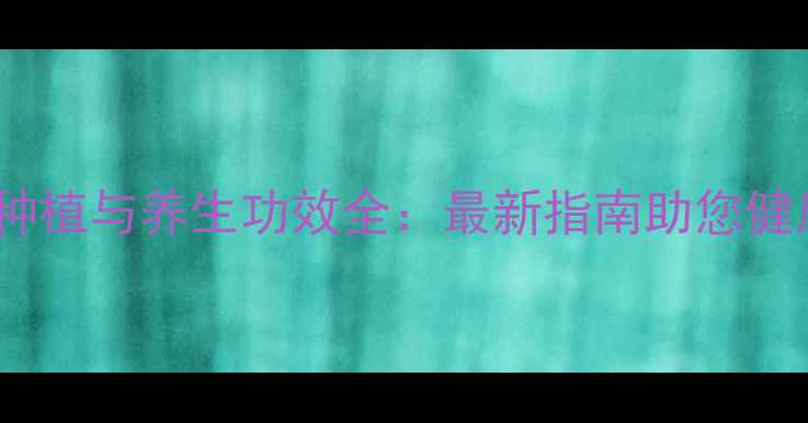 康乃馨家庭种植与养生功效全最新指南助您健康花开两全