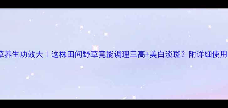扫把草养生功效大这株田间野草竟能调理三高美白淡斑附详细使用指南