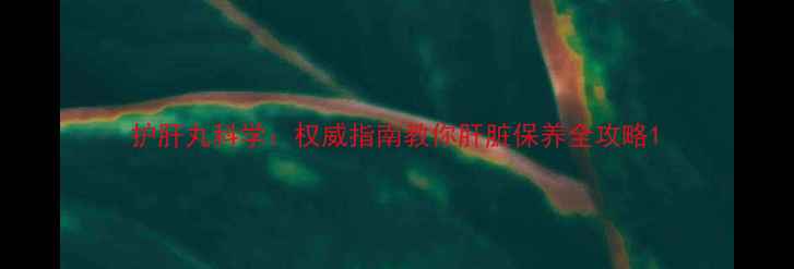 护肝丸科学权威指南教你肝脏保养全攻略