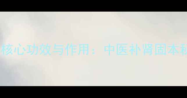 图片 护肾散的五大核心功效与作用：中医补肾固本秘方科学解读1