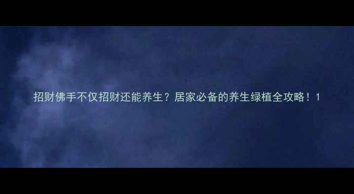 招财佛手不仅招财还能养生居家必备的养生绿植全攻略