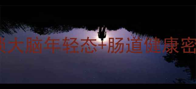 拟胆碱作用解锁大脑年轻态肠道健康密码的养生新思路