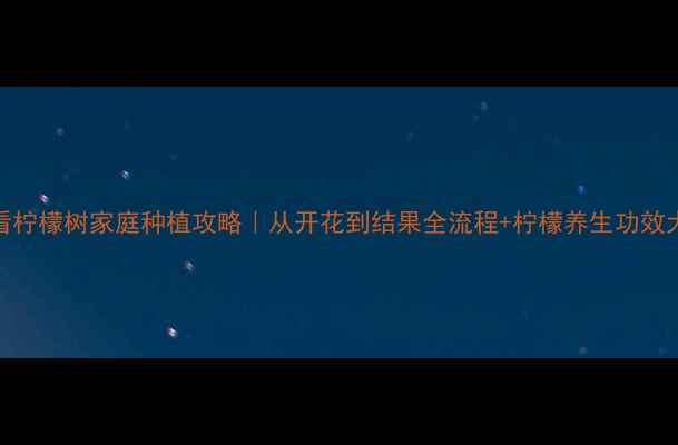 图片 收录必看柠檬树家庭种植攻略｜从开花到结果全流程+柠檬养生功效大公开🍋