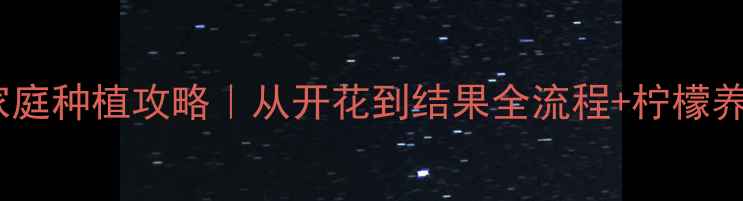 收录必看柠檬树家庭种植攻略从开花到结果全流程柠檬养生功效大公开
