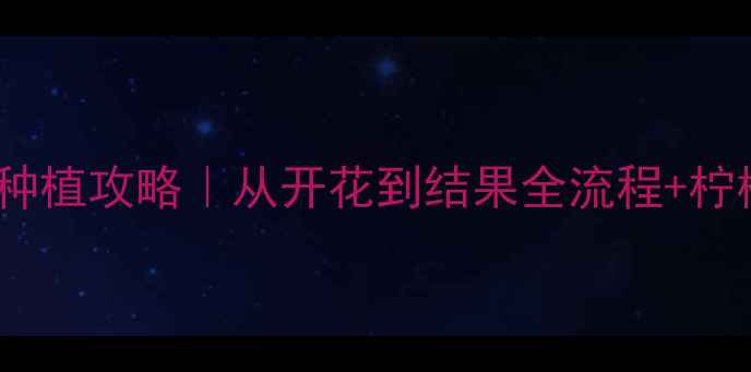 图片 收录必看柠檬树家庭种植攻略｜从开花到结果全流程+柠檬养生功效大公开🍋2