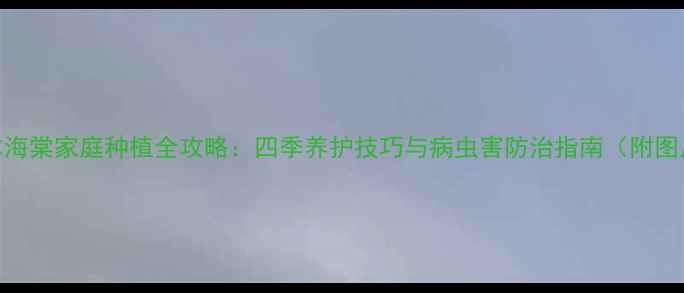 日本海棠家庭种植全攻略四季养护技巧与病虫害防治指南附图片