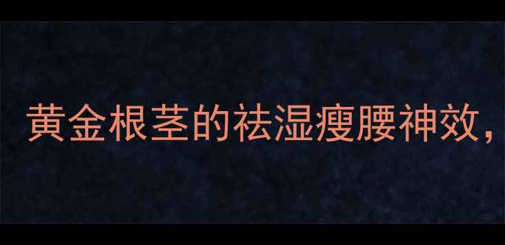 旱葛养生界新宠黄金根茎的祛湿瘦腰神效喝出小蛮腰秘籍